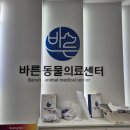 24시 수유 바른펫 동물의료센터 | 달서구24시동물병원 바른동물의료센터 노령묘 고양이 검진 충격후기