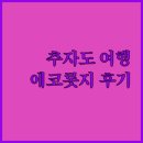 추자도 에코롯지 | 추자도 에코롯지 방문 후기 픽업 서비스부터 주변 관광 정보까지!