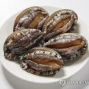 청산바다영어조합법인 연합뉴스