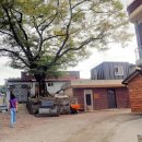 우산리입구 이미지