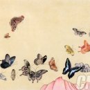 우리의 멋, 민화 이미지