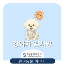 위례S동물의료센터 이미지