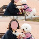 [스냅사진 1 ] 재진스포토 / 진스포토 / @Jins_foto / 스냅사진 후기