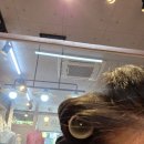 구미 리즈한복 돌잔치 준비, 내돈내산 솔직 후기