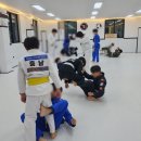 레드비 - 동구 | 두정동 백석동 성정동 신부동에서 찾은 운동, 팀레드비 우리주짓수 후기 🥋