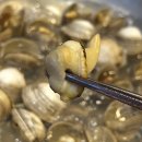 챠오챠오 | 명지 샤브샤브 맛집 챠오샤브 본점 다녀온 솔직후기