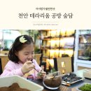 숲담 | 천안 테라리움 공방 숲담 키즈클래스 6세 아이 체험 후기
