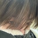원진 - 대덕구 계족산로36번길 33 | 원진