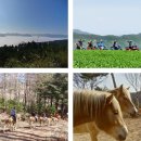 700빌리지 이미지