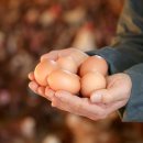 다움농장2 이미지