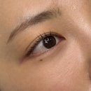 예다인뷰티 | 무실동 속눈썹펌 인생 컬 예다인뷰티 원주본점 솔직후기