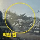 틸다씨네 카페 네이버블로그