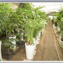 정우농원 이미지