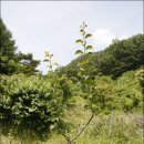 원산농장 이미지