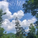 달반물반 이미지