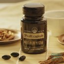 씨피코리아 이미지