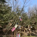 임학공원(임학정) 이미지