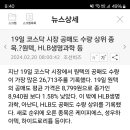 아난티 공매도 수량 상위 이미지