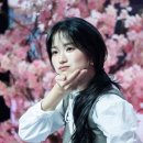 Gorgeous!!!! (ft.짤 8ea) 이미지