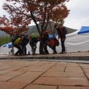 늑대와 여우 이미지