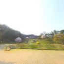 아담장 이미지