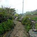 형제사슴목장 이미지