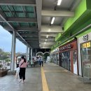 세일종합카인테리어 | 평균연령 70세 산악회 패키지 여행 따라간 후기 | 강한자만이 살아남는 곳