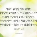 미쁘사