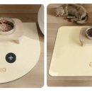 멍멍식탁 이미지