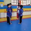 성룡태권도 이미지