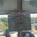 홍성농협 | 하나로마트 남면농협본점 수산물 판매장 후기, 태안 홍성 여행 장보기