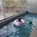 화월풀빌라 | 경주 화월풀빌라 솔직후 개별 온수풀 가능한 프라이빗 숙소