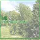 우아룸