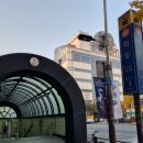 넘버원 펫살롱 | 전문적이고 실력좋은 일산타이마사지 [싯딤 테라피]