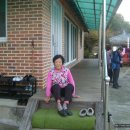 곡성-196 Daum카페
