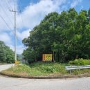 푸른솔농장3 이미지