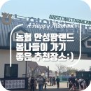 나들농장 | 안성팜랜드 꽃놀이 + 입장권 할인구매 꿀팁