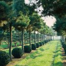 로미공인중개사사무소 이미지