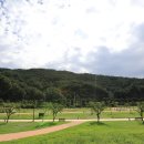 금수문화공원야영장(1) 이미지