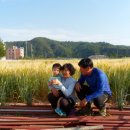 푸른들농산 - 천안시 동남구 죽계리1길 23 | 푸른들농산