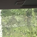 푸른솔펜션 | [ 군산여행 ] 선유도 신시도 푸른솔펜션 1박3식 내돈내산 가족여행 후기