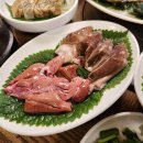 산꼼장어 이미지