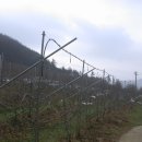 바울농장 이미지