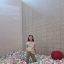 윌리코키 네이버블로그