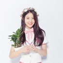 장규리 카카오 검색결과