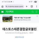일렉트릭 주파수젖문가새끼 말거는년들 냉혈동물 항온동물 유럽 사막 아메리카 아시아에 가축 말 종류가있는데 이런거하는년들 의식탑재들을 이미지