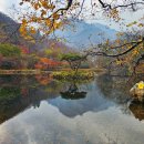 백양사약수터 이미지