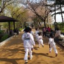 라온누리 태권도 이미지