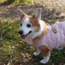 한결동물의료센터 이미지