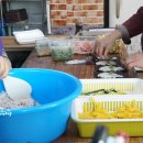 박가미니김밥
